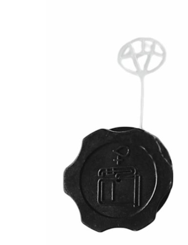 Fuel gas tank cap for - gas,